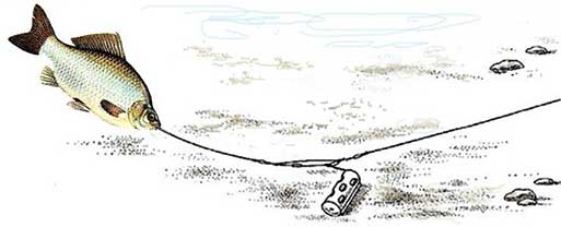 Ловля леща на фидер на песчаном дне изображение