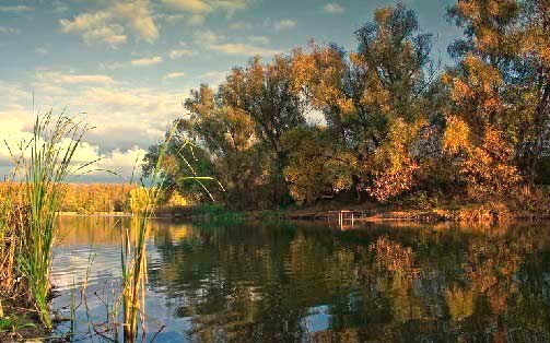 Время приваживания рыбы к месту ловли