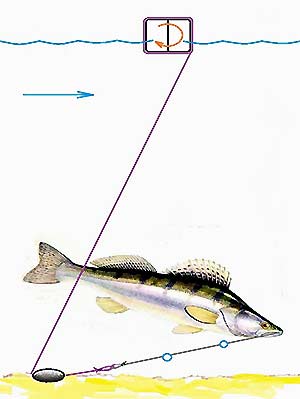 Поставушка для летней ловли хищной рыбы изображение