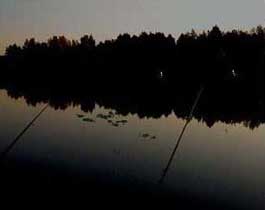 Летняя ловля леща ночью фотография