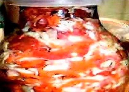Салат из квашеной капусты с хреном и помидорами