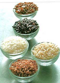 Блюда из риса