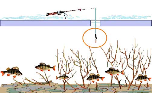 Плохой клев окуня - подъем окуневой стаи подлед