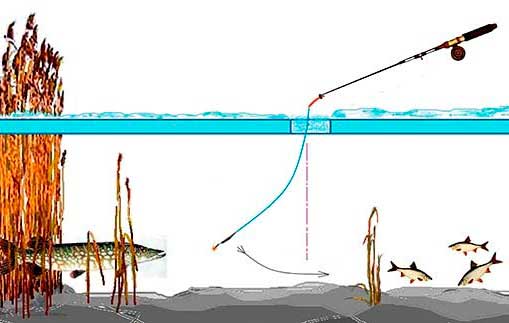 Название рыболовной снасти, способ ловли рыбы
