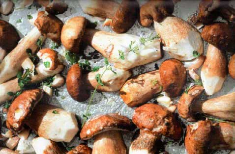 Грибы для приготовления блюда и гарнира