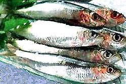 Мелкая морская рыба пряного посола фотография