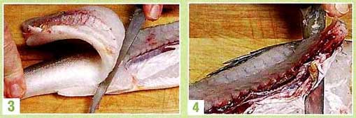 Разделка судака на филе с вырезанием позвоночной кости фотография