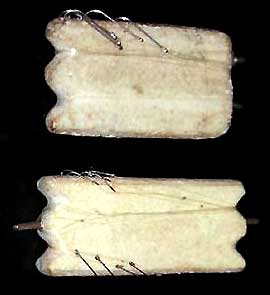 Изготовленные съемные поводки рыболовной резинки фотография
