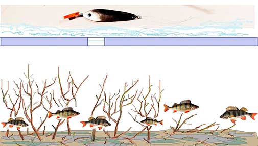 Чертеж ловли окуня на самодельную зимнюю отвесную блесну картинка