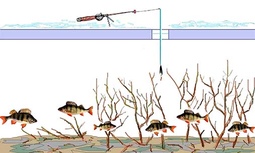 Блеснение окуня как мормышкой в коряжнике картинка