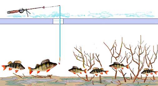 Ловля окуня блесной после тестирования картинка