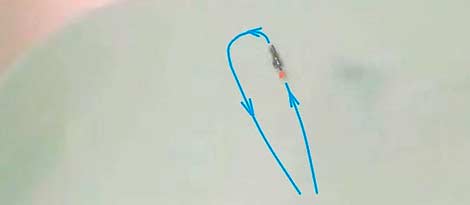 Линейная проводка окуневого самодельного балансира с боковыми лопастями