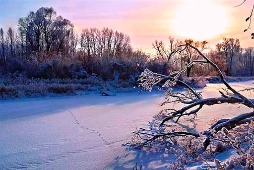Места зимней ловли судака на блесну